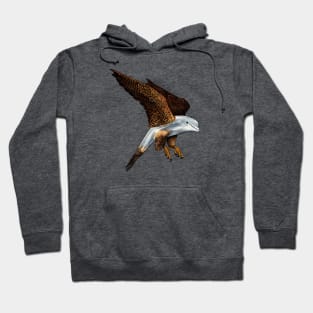 Peregrine Dolphin Hoodie